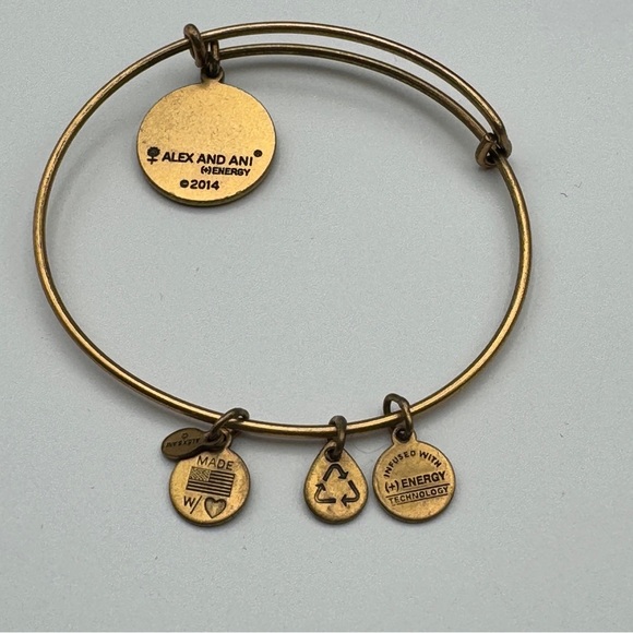 Alex and Ani “Like a Sister to Me” Rafaelian Gold Bangle Bracelet - Picture 2 of 5